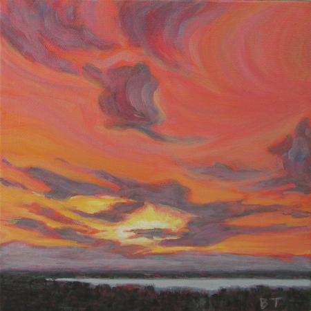 Candy Coloured Vista, 8 x 8  $220 Can
