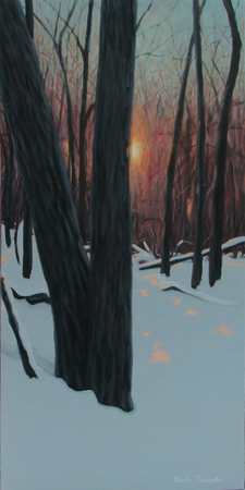 Dreamscape, 24 x 12,  $650 CAN