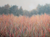 Last Light, 36 x 18, $1250  CAN