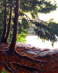 Pines on the Rocks 30 x 24 Sold